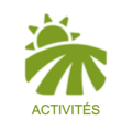 Rubrique activités